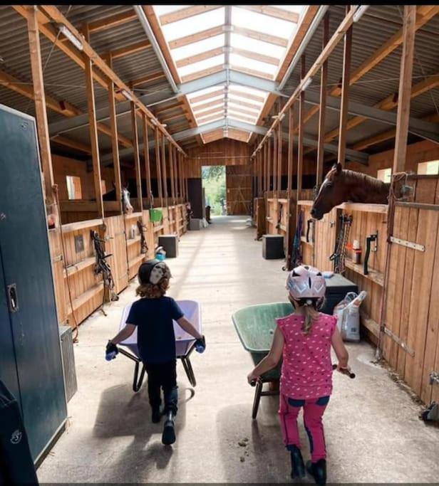 Ferienwohnung Beim Pferdehof Neuenstein  المظهر الخارجي الصورة