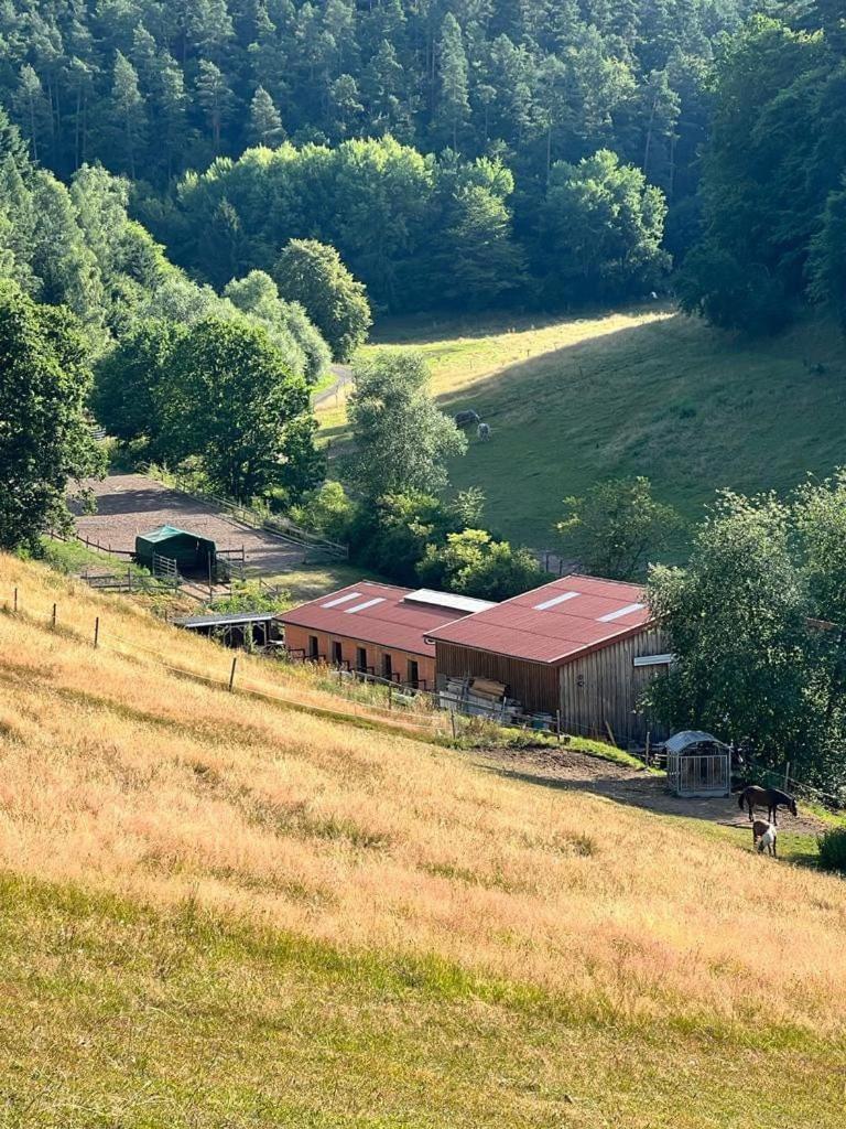 Ferienwohnung Beim Pferdehof Neuenstein  المظهر الخارجي الصورة