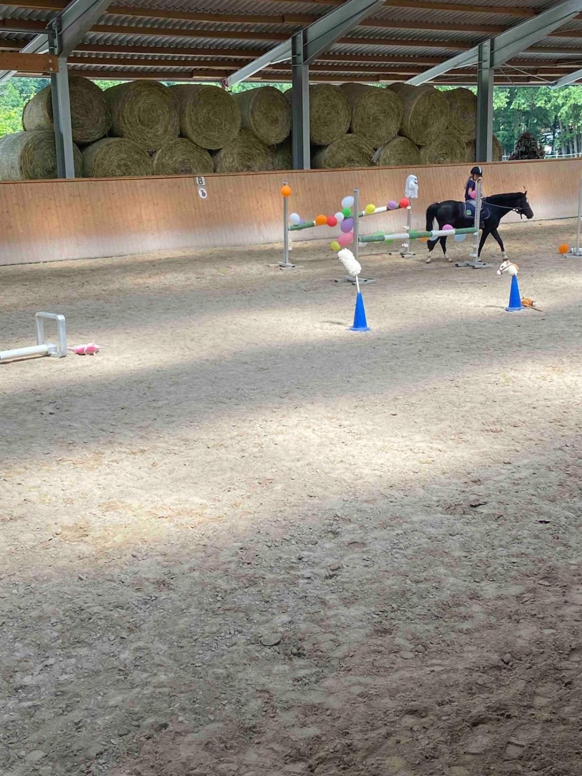 Ferienwohnung Beim Pferdehof Neuenstein  المظهر الخارجي الصورة